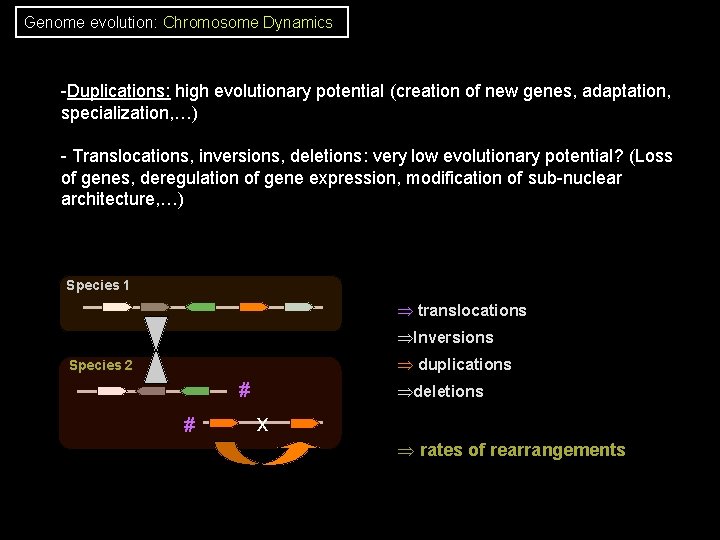 Genome evolution: Chromosome Dynamics -Duplications: high evolutionary potential (creation of new genes, adaptation, specialization, Genome evolution: Chromosome Dynamics -Duplications: high evolutionary potential (creation of new genes, adaptation, specialization,