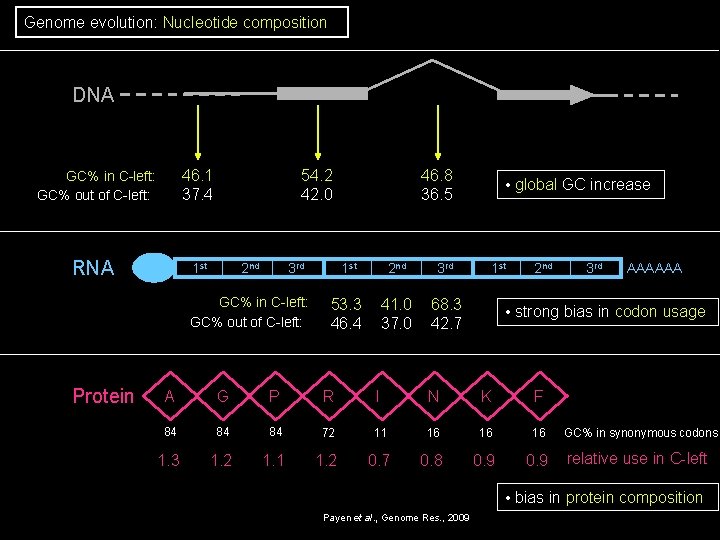Genome evolution: Nucleotide composition DNA GC% in C-left: GC% out of C-left: 46. 1 Genome evolution: Nucleotide composition DNA GC% in C-left: GC% out of C-left: 46. 1