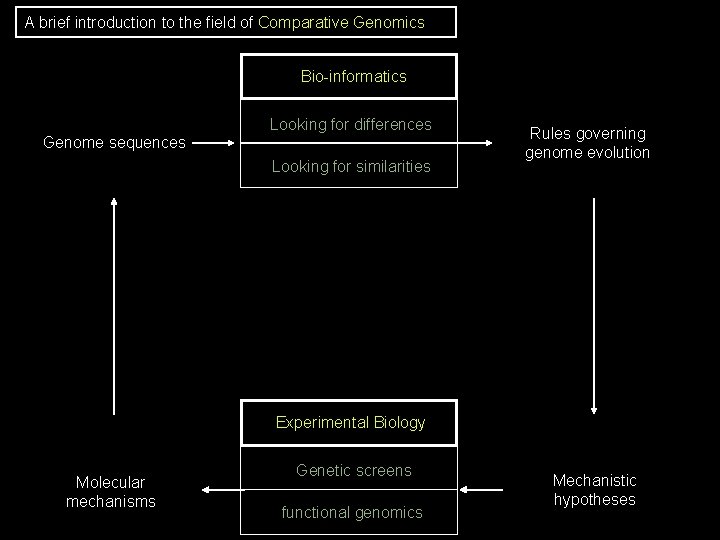 A brief introduction to the field of Comparative Genomics Bio-informatics Looking for differences Genome A brief introduction to the field of Comparative Genomics Bio-informatics Looking for differences Genome