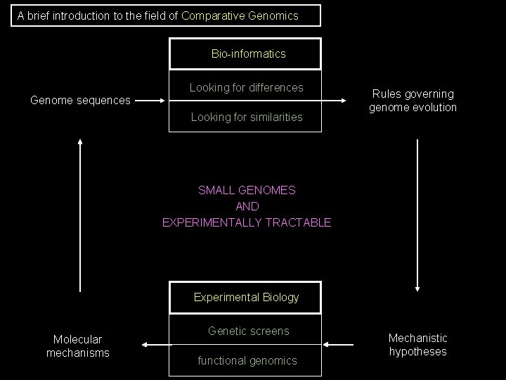 A brief introduction to the field of Comparative Genomics Bio-informatics Looking for differences Genome A brief introduction to the field of Comparative Genomics Bio-informatics Looking for differences Genome
