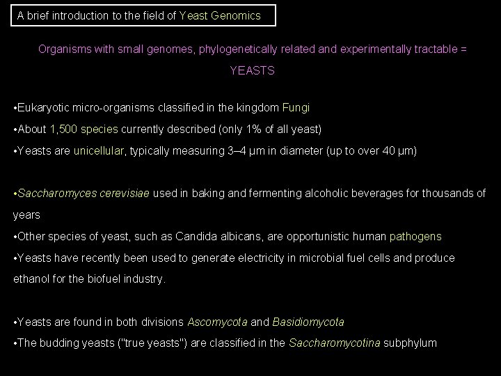 A brief introduction to the field of Yeast Genomics Organisms with small genomes, phylogenetically A brief introduction to the field of Yeast Genomics Organisms with small genomes, phylogenetically
