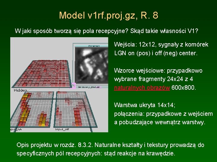Model v 1 rf. proj. gz, R. 8 W jaki sposób tworzą się pola