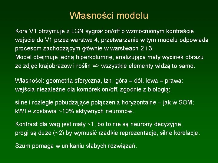 Własności modelu Kora V 1 otrzymuje z LGN sygnał on/off o wzmocnionym kontraście, wejście Własności modelu Kora V 1 otrzymuje z LGN sygnał on/off o wzmocnionym kontraście, wejście