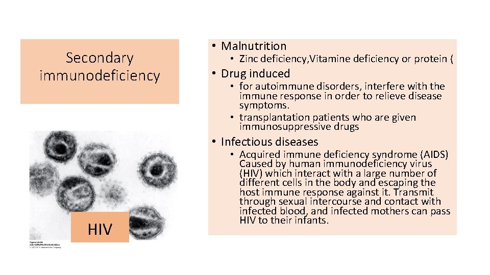 Secondary immunodeficiency • Malnutrition • Zinc deficiency, Vitamine deficiency or protein ( • Drug