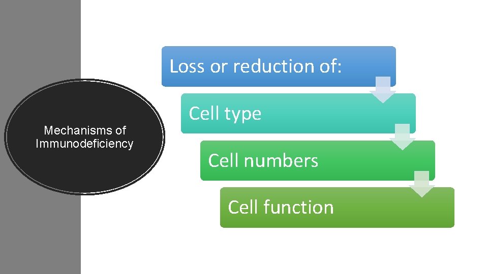 Loss or reduction of: Mechanisms of Immunodeficiency Cell type Cell numbers Cell function 
