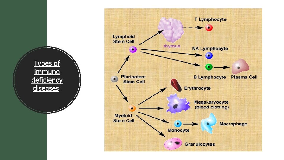 Types of immune deficiency diseases: 