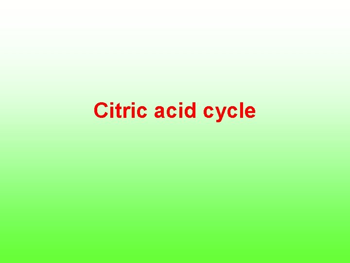 Citric acid cycle 