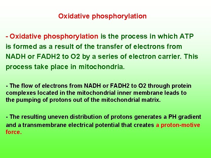  Oxidative phosphorylation is the process in which ATP is formed as a result