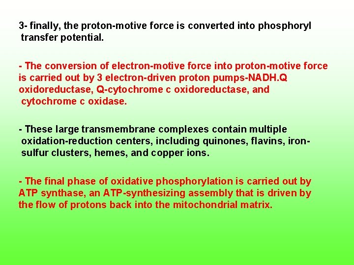 3 finally, the proton motive force is converted into phosphoryl transfer potential. The conversion