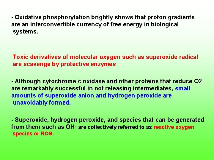  Oxidative phosphorylation brightly shows that proton gradients are an interconvertible currency of free