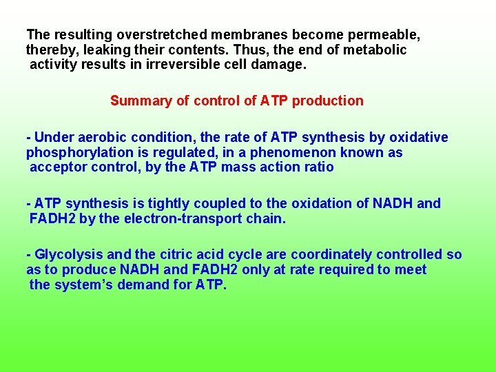 The resulting overstretched membranes become permeable, thereby, leaking their contents. Thus, the end of