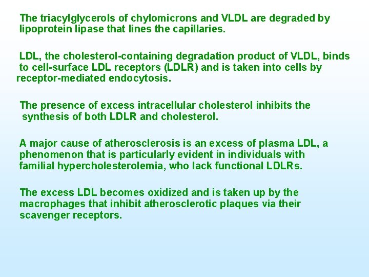 The triacylglycerols of chylomicrons and VLDL are degraded by lipoprotein lipase that lines the