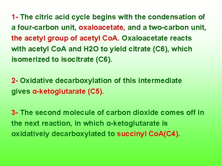 1 The citric acid cycle begins with the condensation of a four carbon unit,