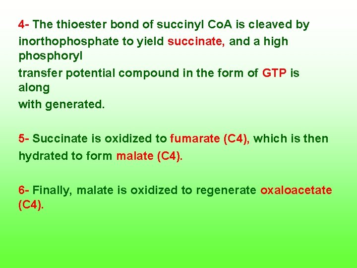 4 The thioester bond of succinyl Co. A is cleaved by inorthophosphate to yield