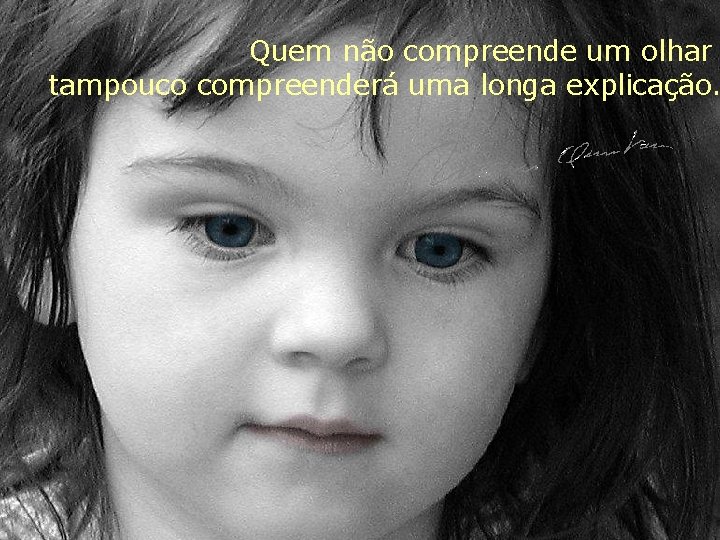 Quem não compreende um olhar tampouco compreenderá uma longa explicação. 