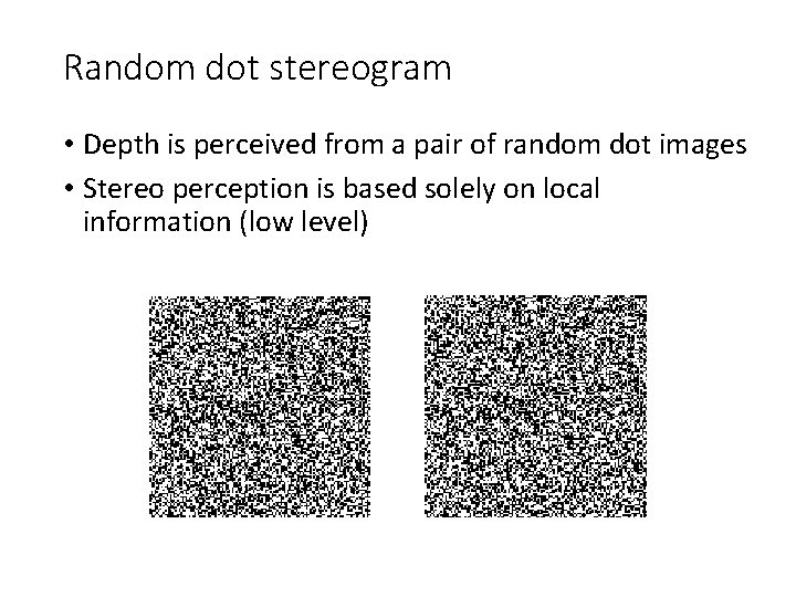 Random dot stereogram • Depth is perceived from a pair of random dot images