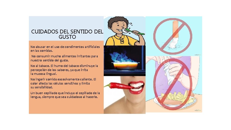 CUIDADOS DEL SENTIDO DEL GUSTO No abusar en el uso de condimentos artificiales en