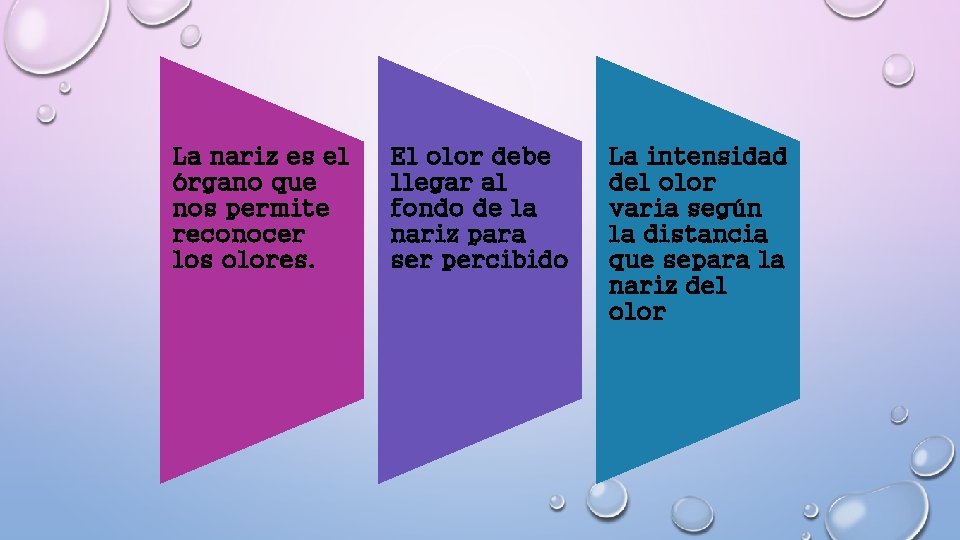 La nariz es el órgano que nos permite reconocer los olores. El olor debe