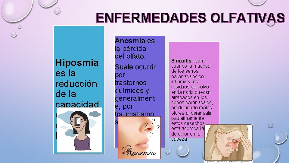 ENFERMEDADES OLFATIVAS Hiposmia es la reducción de la capacidad de detectar los olores Anosmia
