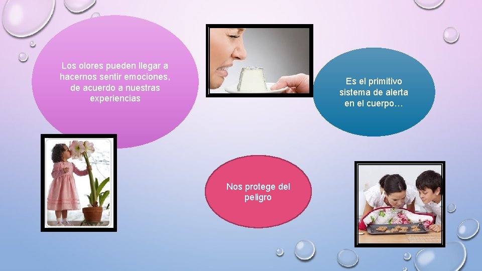 Los olores pueden llegar a hacernos sentir emociones, de acuerdo a nuestras experiencias Es