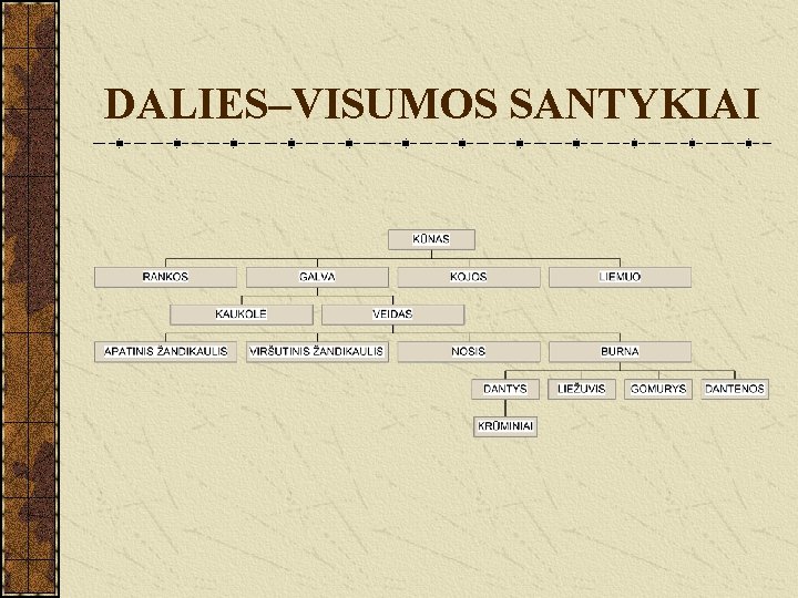 DALIES–VISUMOS SANTYKIAI 