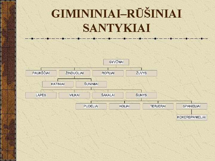 GIMININIAI–RŪŠINIAI SANTYKIAI 
