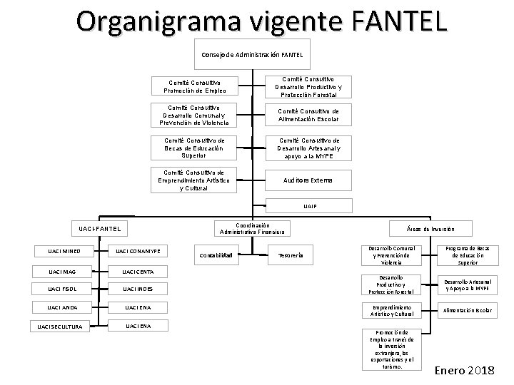 Organigrama vigente FANTEL Consejo de Administración FANTEL Comité Consultivo Promoción de Empleo Comité Consultivo