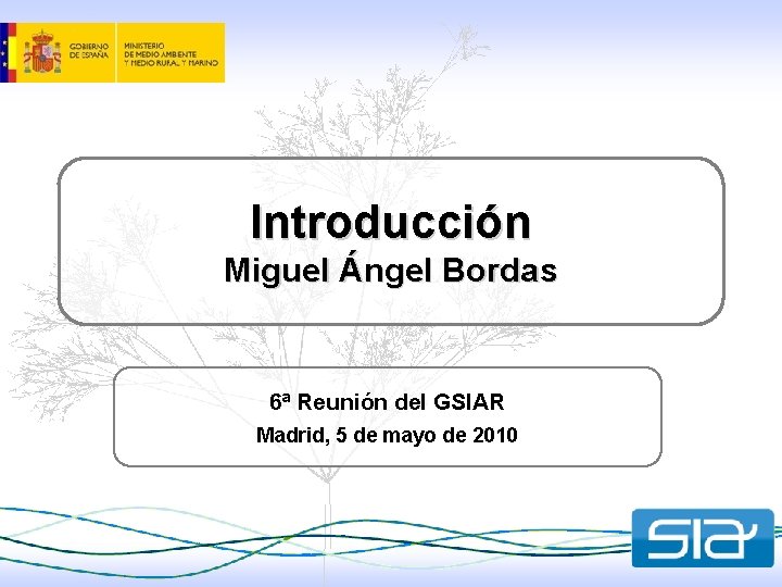 Introducción Miguel Ángel Bordas 6ª Reunión del GSIAR Madrid, 5 de mayo de 2010