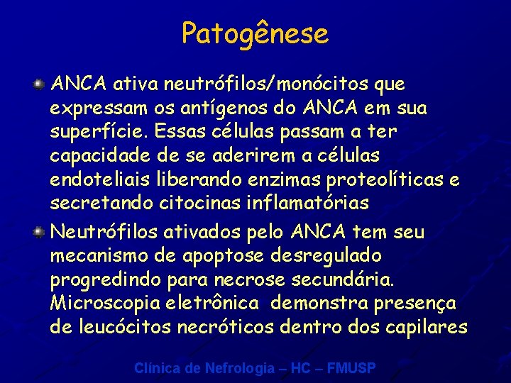 Patogênese ANCA ativa neutrófilos/monócitos que expressam os antígenos do ANCA em sua superfície. Essas