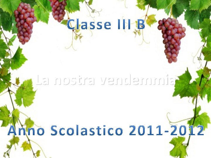 La nostra vendemmia 