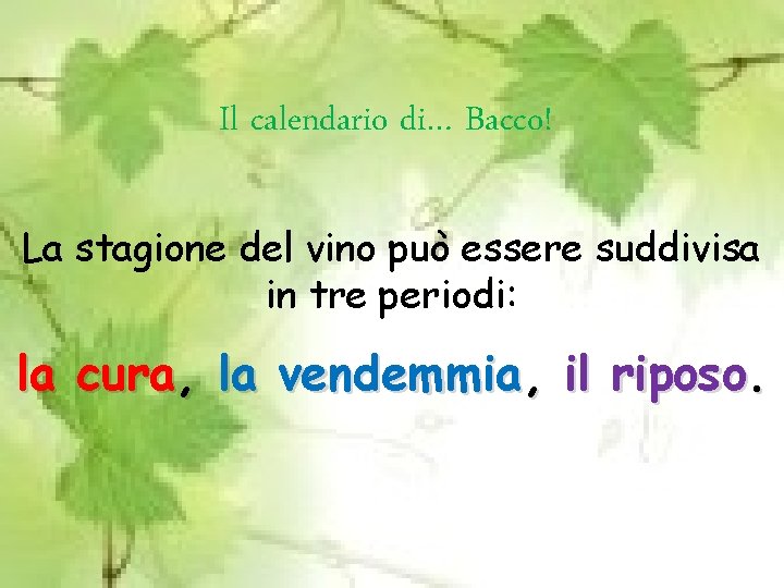 Il calendario di… Bacco! La stagione del vino può essere suddivisa in tre periodi: