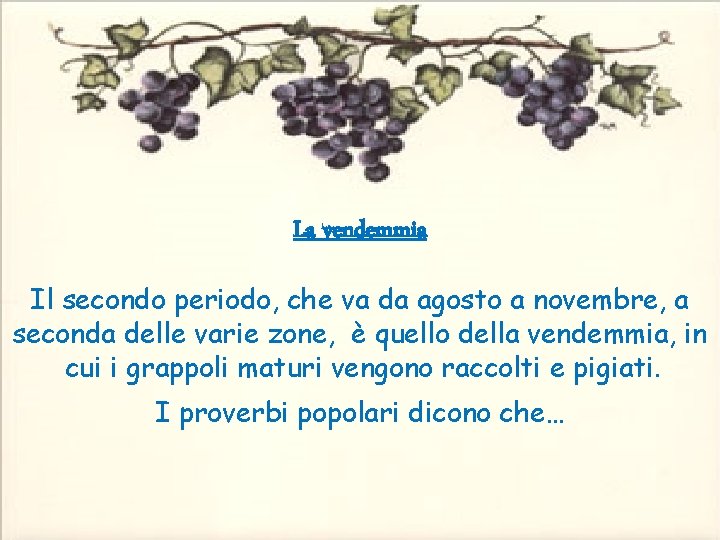  La vendemmia Il secondo periodo, che va da agosto a novembre, a seconda