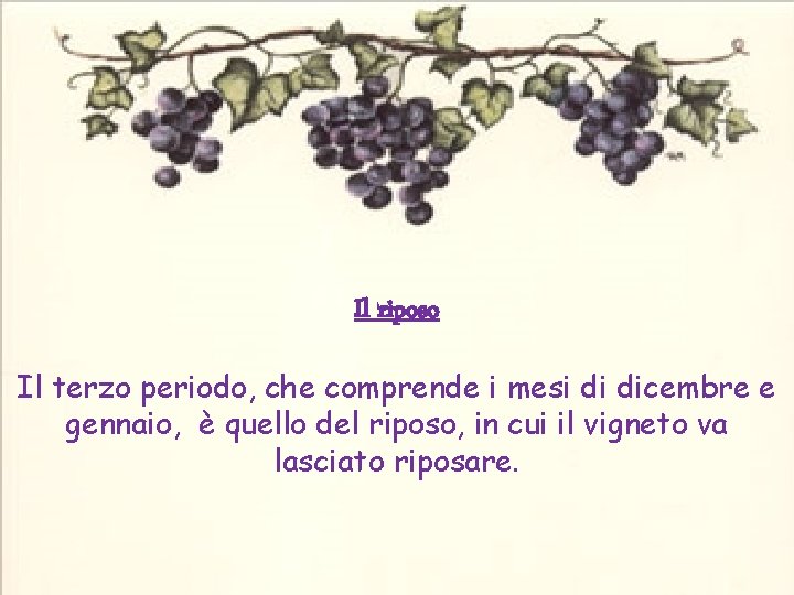 Il riposo Il terzo periodo, che comprende i mesi di dicembre e gennaio, è