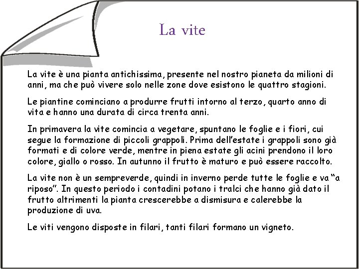La vite è una pianta antichissima, presente nel nostro pianeta da milioni di anni,