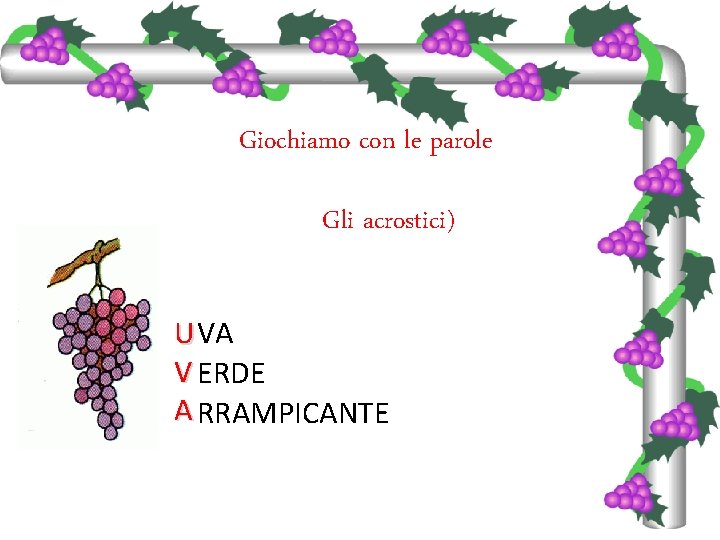 Giochiamo con le parole Gli acrostici) U VA V ERDE A RRAMPICANTE 