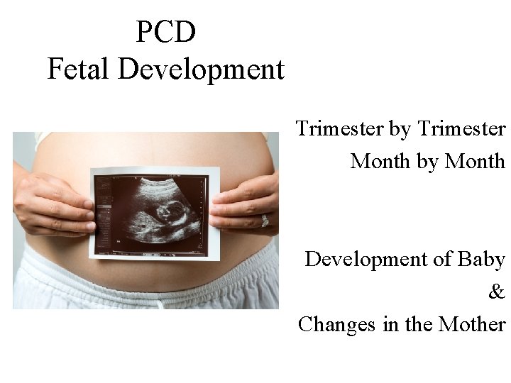 PCD Fetal Development Trimester by Trimester Month by Month Development of Baby & Changes