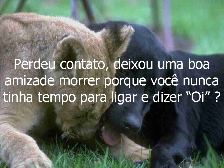 Perdeu contato, deixou uma boa amizade morrer porque você nunca tinha tempo para ligar