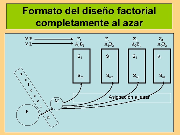 Formato del diseño factorial completamente al azar V. E. V. I. s e Z