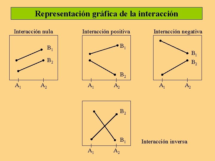 Representación gráfica de la interacción Interacción nula Interacción positiva Interacción negativa B 1 B