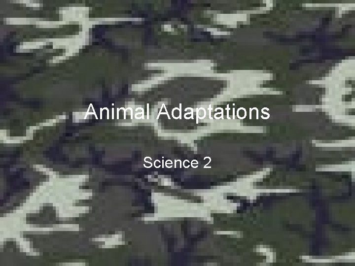 Animal Adaptations Science 2 