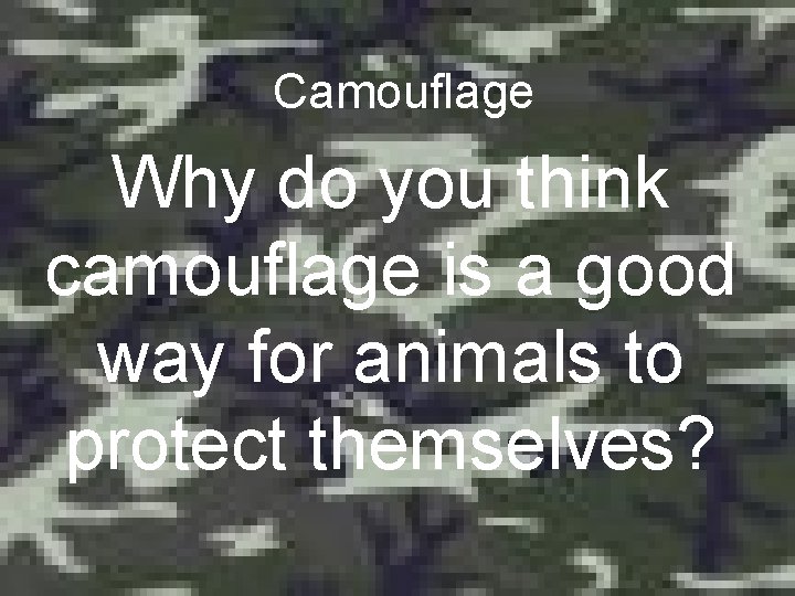 Camouflage Why do you think camouflage is a good way for animals to protect