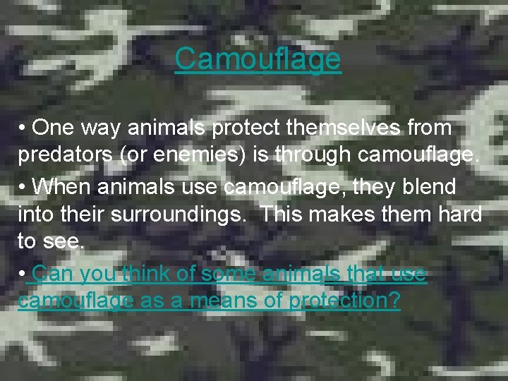 Camouflage • One way animals protect themselves from predators (or enemies) is through camouflage.