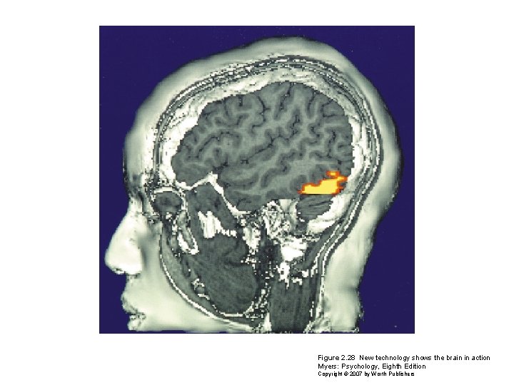 Figure 2. 28 New technology shows the brain in action Myers: Psychology, Eighth Edition