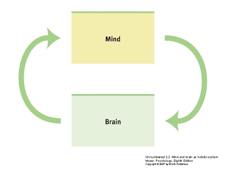 Unnumbered 2. 2 Mind and brain as holistic system Myers: Psychology, Eighth Edition Copyright