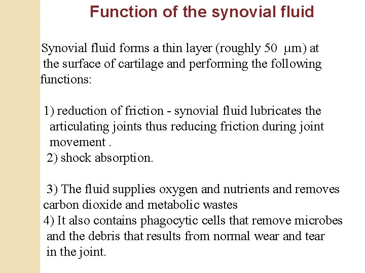 Function of the synovial fluid Synovial fluid forms a thin layer (roughly 50 µm)