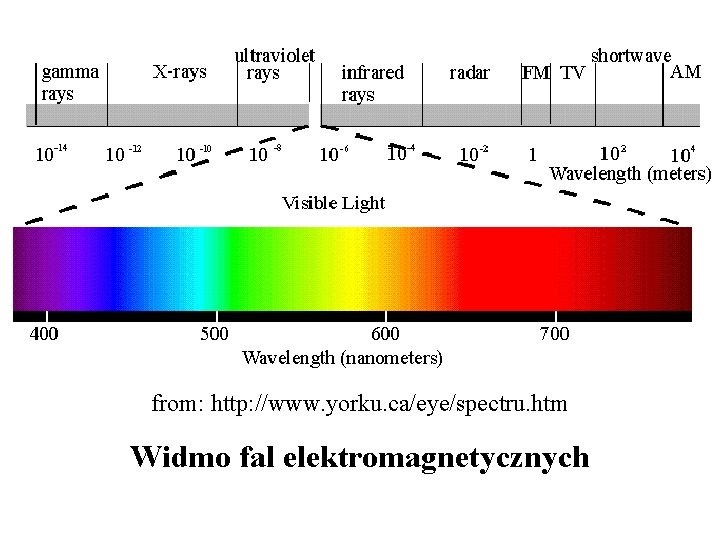 from: http: //www. yorku. ca/eye/spectru. htm Widmo fal elektromagnetycznych from: http: //www. yorku. ca/eye/spectru. htm Widmo fal elektromagnetycznych