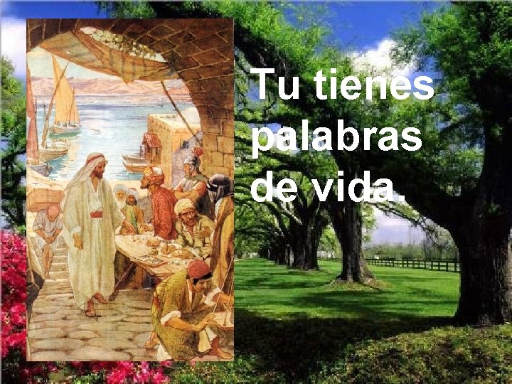 Tu tienes palabras de vida. 