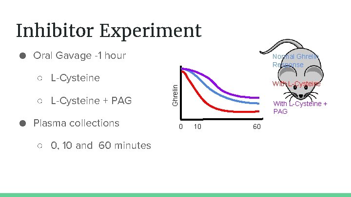 Inhibitor Experiment ● Oral Gavage -1 hour ○ L-Cysteine + PAG ● Plasma collections