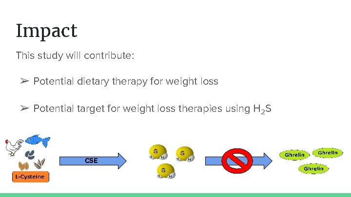 Impact This study will contribute: ➢ Potential dietary therapy for weight loss ➢ Potential