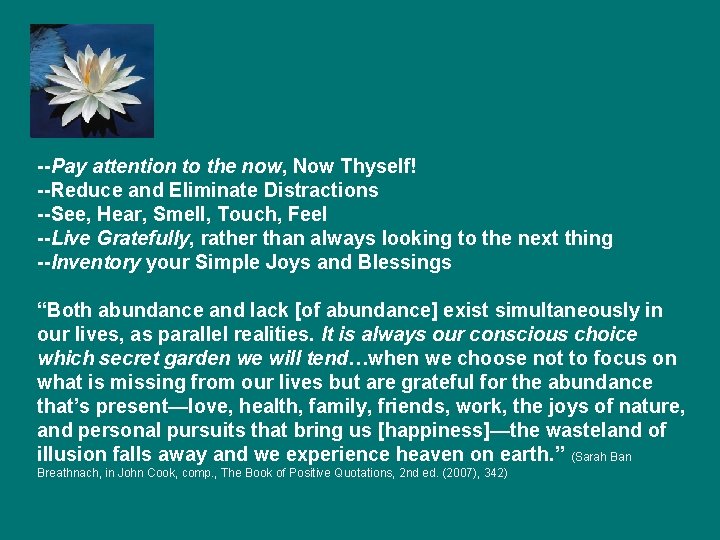 --Pay attention to the now, Now Thyself! --Reduce and Eliminate Distractions --See, Hear, Smell, --Pay attention to the now, Now Thyself! --Reduce and Eliminate Distractions --See, Hear, Smell,